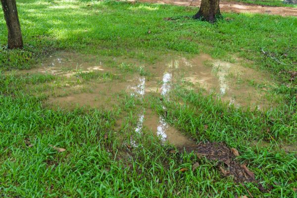 Cost of Storm Water Drainage Service in Lehi