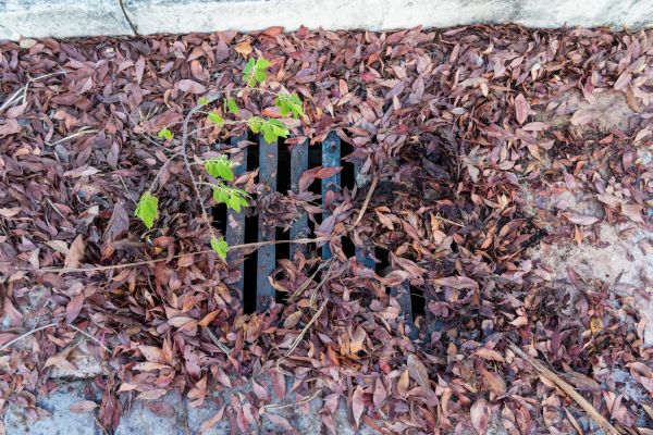 Cost of Yard Drain Unclogging in Lehi