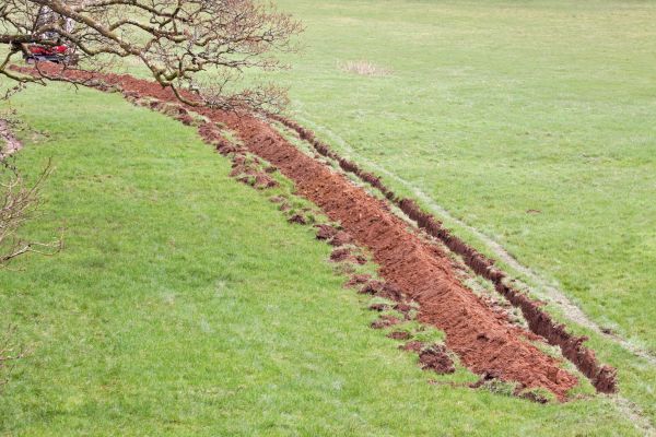 Cost of Swale Installation in Lehi