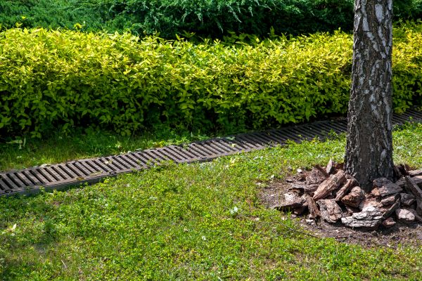 Cost of Residential Landscape Drainage in Lehi