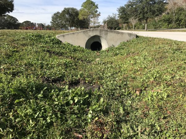 Cost of Swale Drainage Service in Lehi