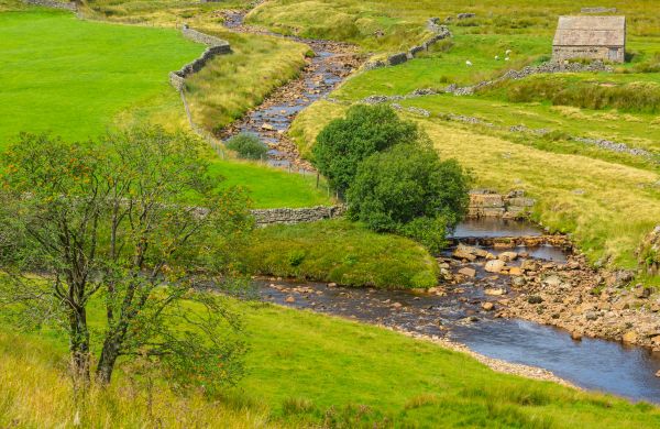 Cost of Swale Repair in Lehi